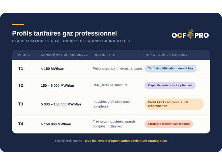 Infographie listant les profils tarifaires pour les consommateurs de gaz pro