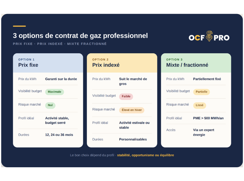 Infographie présentant les 3 types de contrat de gaz professionnel possible
